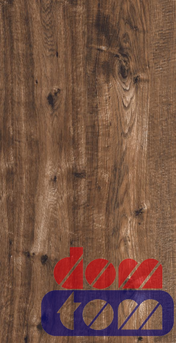 375dd4cc09fc061a8c68344139321703